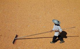 Image with missing alt attribute found on svpressa.ru