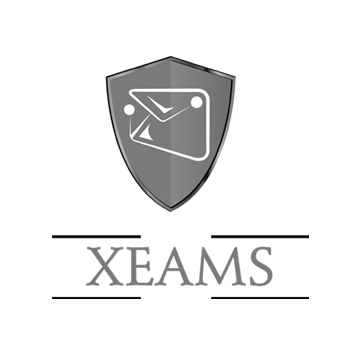 Image with missing alt attribute found on synametrics.com