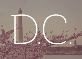 Washington D.C.