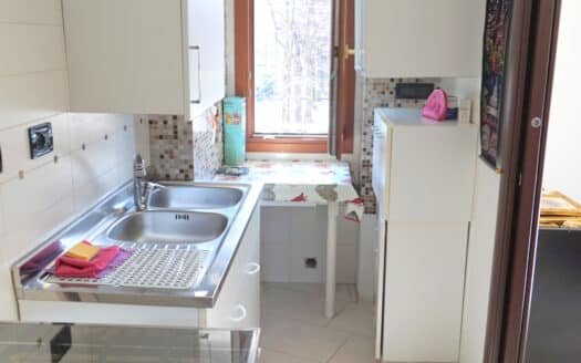 Piazza Mattirolo/Via Luini luminoso bilocale ristrutturato