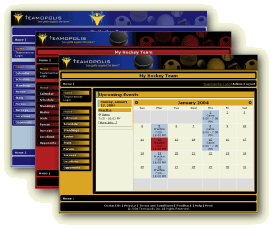 Image with missing alt attribute found on teamopolis.com