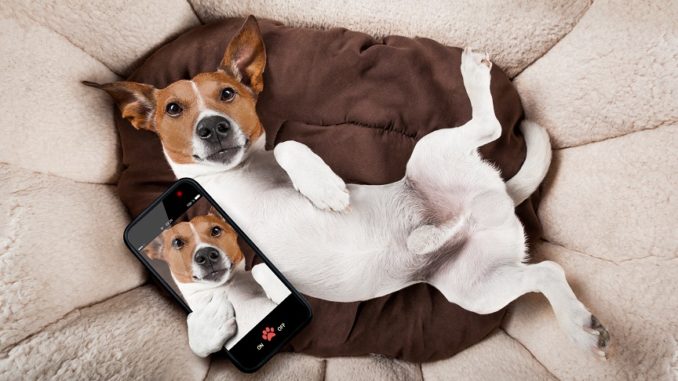 Image with missing alt attribute found on tech2buynow.com