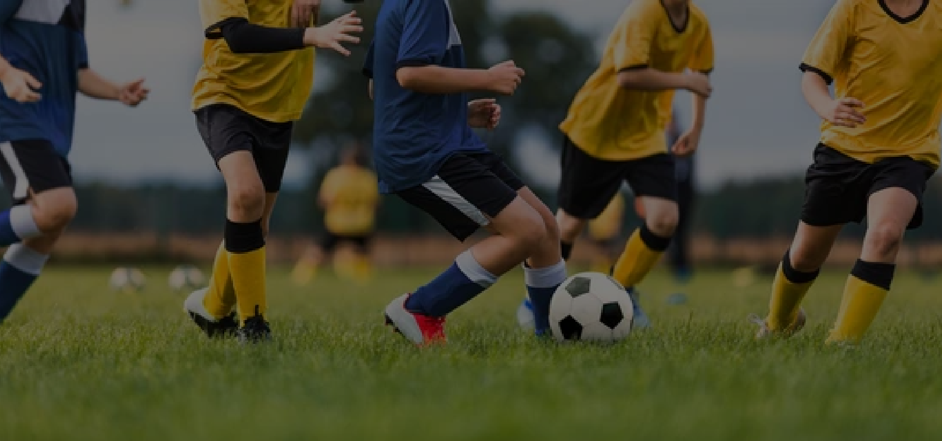 Image with missing alt attribute found on techsignx.com