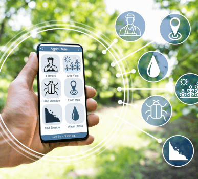 Image with missing alt attribute found on techsignx.com