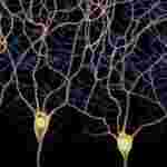 Image with missing alt attribute found on tehnoit.ru