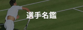 選手名鑑