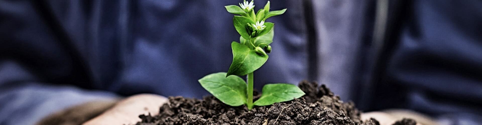 Image with missing alt attribute found on tetra-agro.com.ua