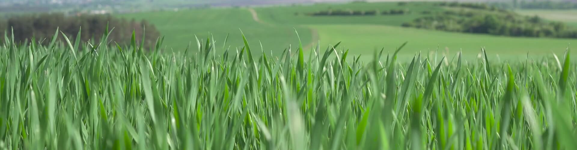 Image with missing alt attribute found on tetra-agro.com.ua