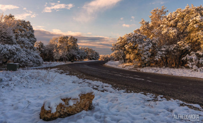 San Antonio Snow by Alfredo Mora