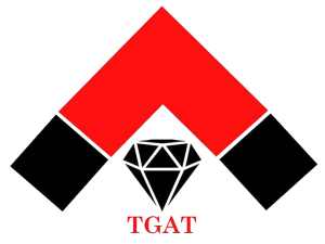 Image with missing alt attribute found on tgat20.com