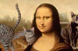 The Truth About Cats and Artists