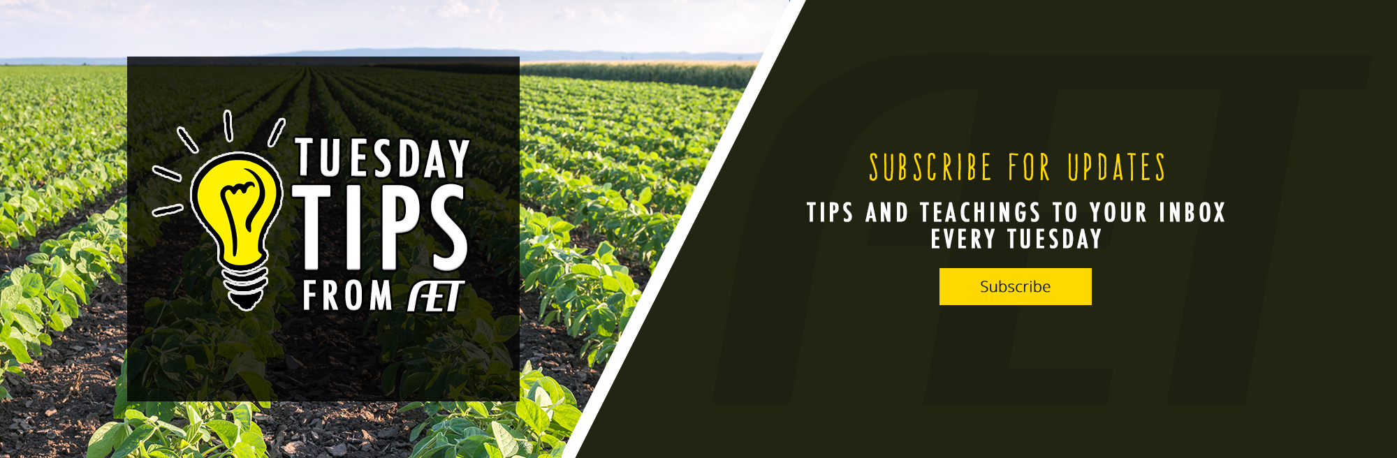 Image with missing alt attribute found on theaet.com