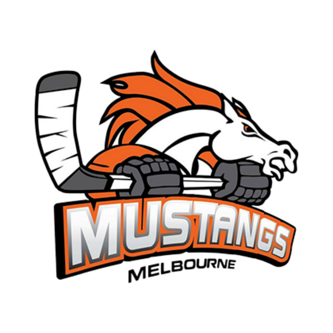 Image with missing alt attribute found on theaihl.com