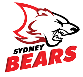 Image with missing alt attribute found on theaihl.com