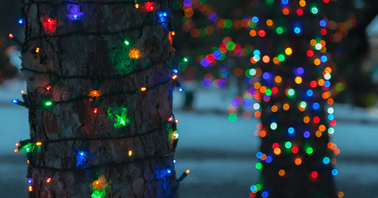 Christmas lights