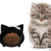 best dry kitten food reviews