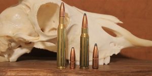 270 vs 308: Which One Should You Hunt With?