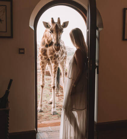 Image with missing alt attribute found on theblondeabroad.com