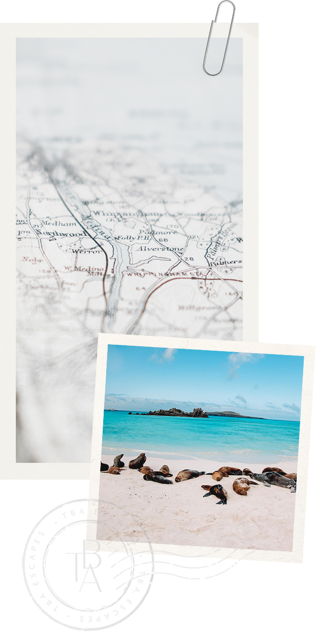 Image with missing alt attribute found on theblondeabroad.com