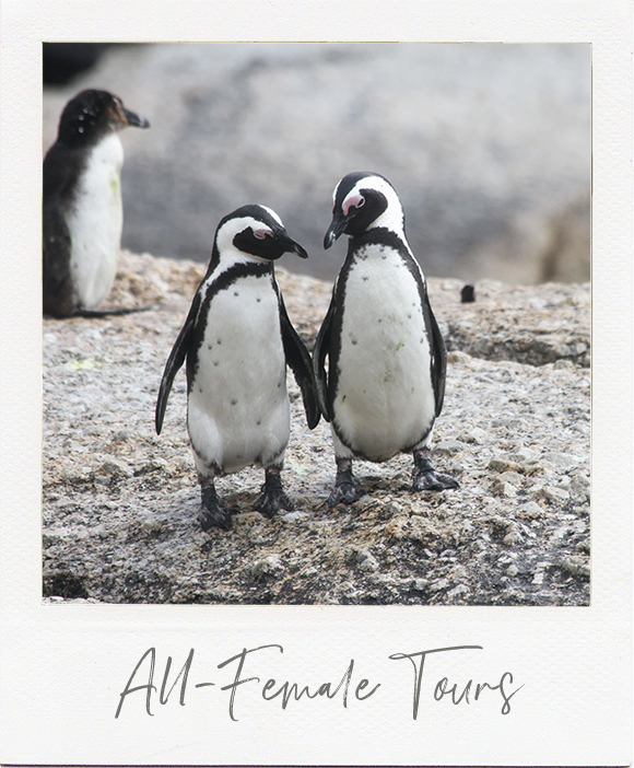 Image with missing alt attribute found on theblondeabroad.com