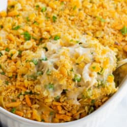 Image with missing alt attribute found on thecozycook.com