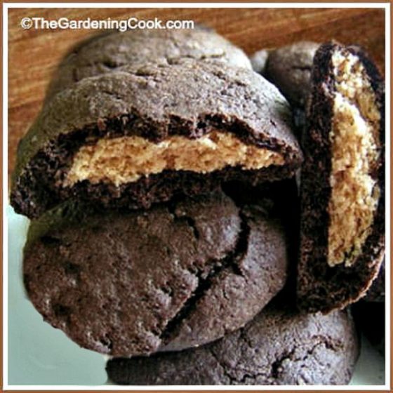 Vegan chocolate peanut butter cookies