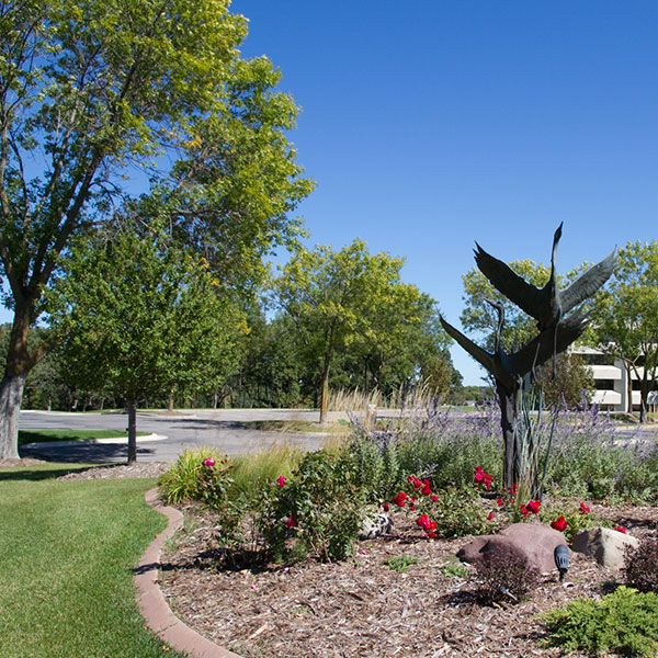 Image with missing alt attribute found on thegoodmangroup.com