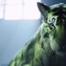 Image with missing alt attribute found on thegww.com