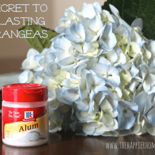 Image with missing alt attribute found on thehappierhomemaker.com