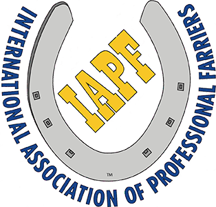 Image with missing alt attribute found on thehorse.com