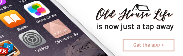 Image with missing alt attribute found on theoldhouselife.com