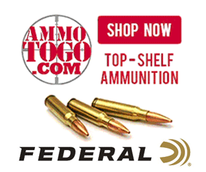 Ammo to go