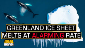 Image with missing alt attribute found on therealnews.com