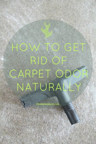 Image with missing alt attribute found on theseamanmom.com