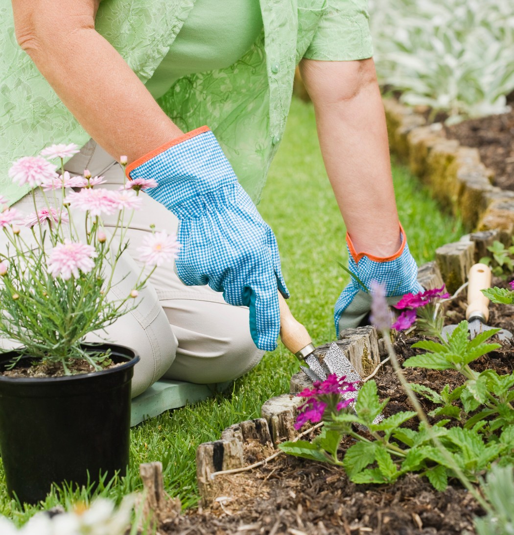 Image with missing alt attribute found on thetradecore.com