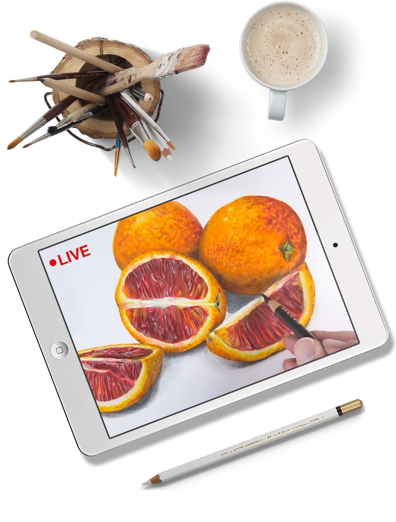 Image with missing alt attribute found on thevirtualinstructor.com