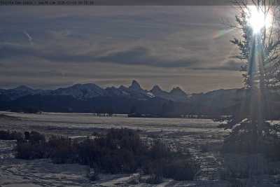 Image with missing alt attribute found on seejh.com