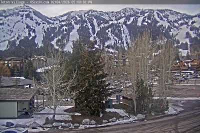 Image with missing alt attribute found on seejh.com