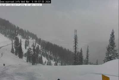 Image with missing alt attribute found on seejh.com