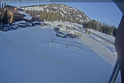 Image with missing alt attribute found on seejh.com