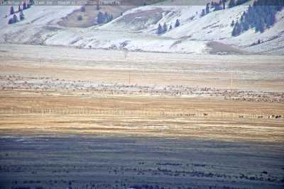 Image with missing alt attribute found on seejh.com