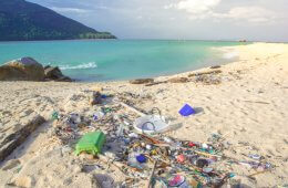 Image with missing alt attribute found on thriftynomads.com