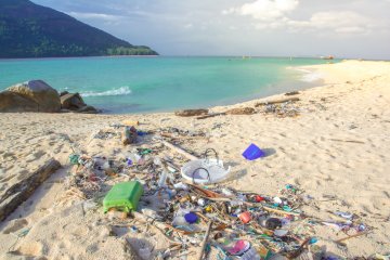 Image with missing alt attribute found on thriftynomads.com