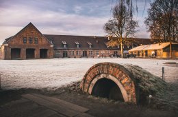 Image with missing alt attribute found on thriftynomads.com