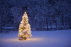 Free Christmas Tree Stock Image - 19159101