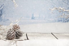 Free Winter Christmas Scene Stock Images - 101787784