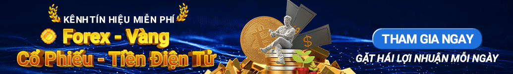 Image with missing alt attribute found on thuvientaichinh.com