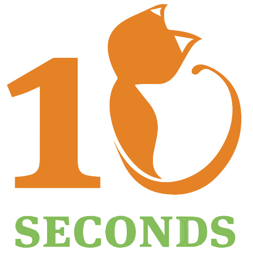 10 Seconds 2019