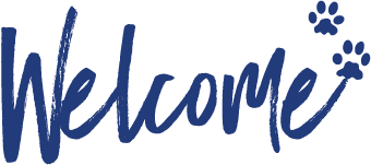 Image with missing alt attribute found on tica.org