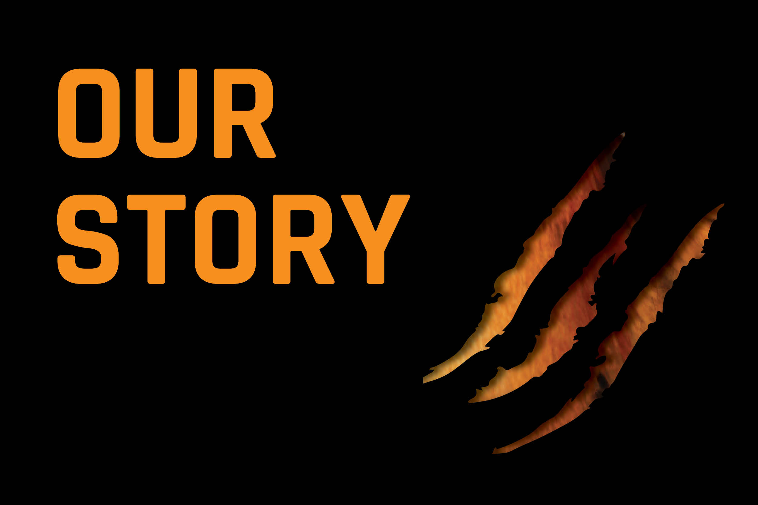 Image with missing alt attribute found on tigercommissary.com